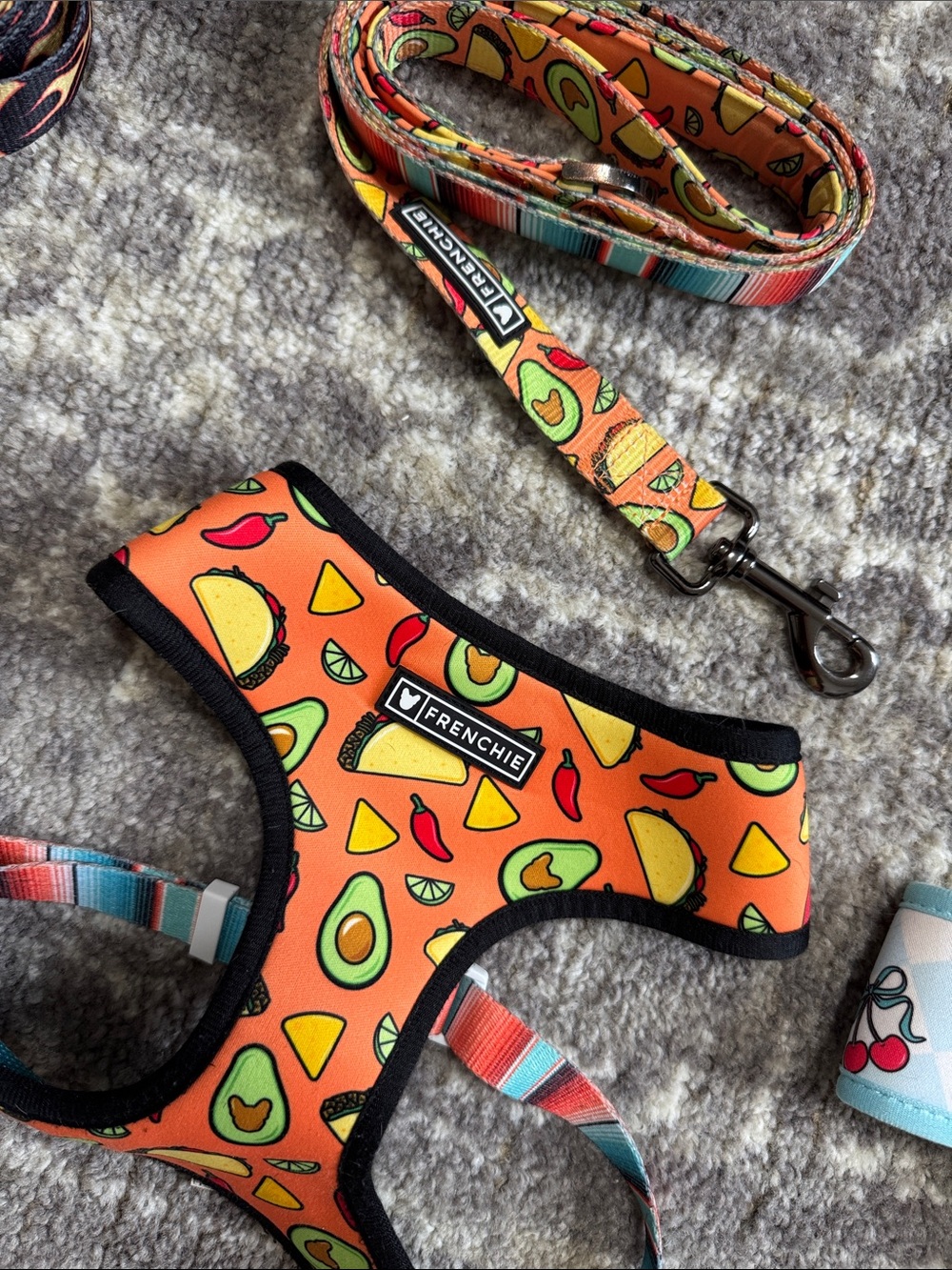 Frenchie Bulldog Orange Avocado & Taco Dog Harness and leash